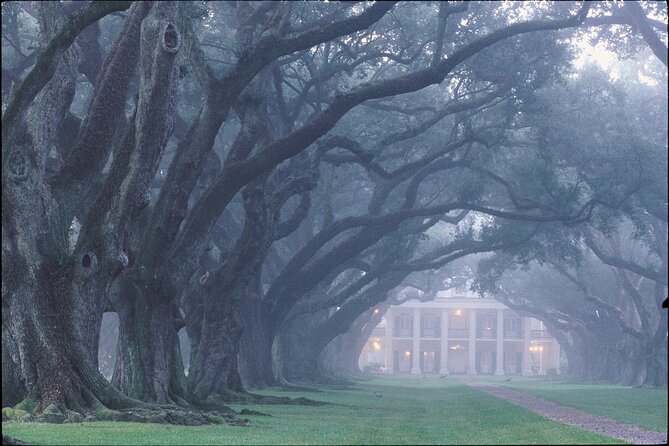 Oak Alley Plantation Tour with Pickup from New Orleans - Weather, cancellation, and basic planning