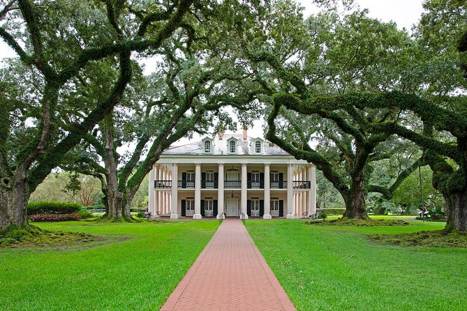 Oak Alley Plantation Tour with Transportation - Why the Oak Alley approach is worth the ride
