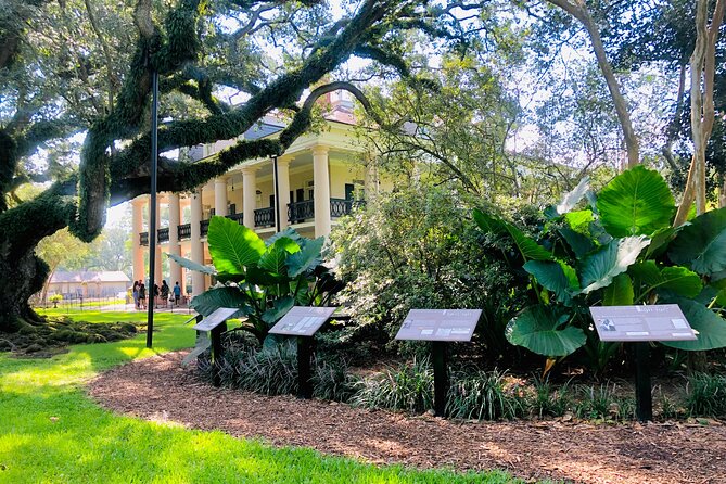 Oak Alley Plantation Tour with Transportation from New Orleans - Making the most of two hours on the grounds