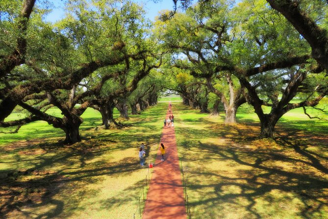 Oak Alley Plantation Tour with Transportation from New Orleans - Who will enjoy this outing most