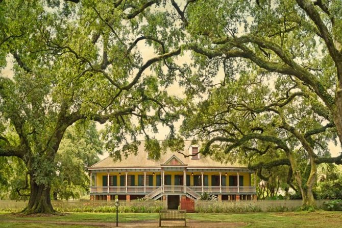 Private Airboat Ride and Plantations Tour with Gourmet Lunch from New Orleans - How the guides shape the experience