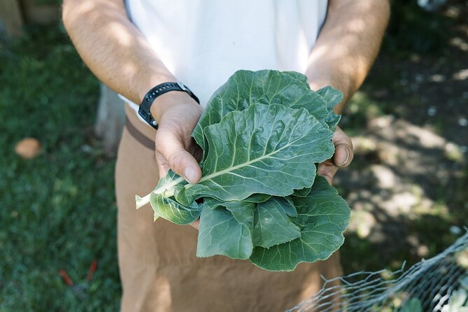 Private New Orleans Cajun Cooking Class with a Local Courtland - Is $64 a good value?