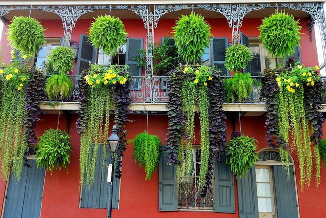 Private New Orleans City Tour with Local Expert Guide - City Park and Audubon Park from the road