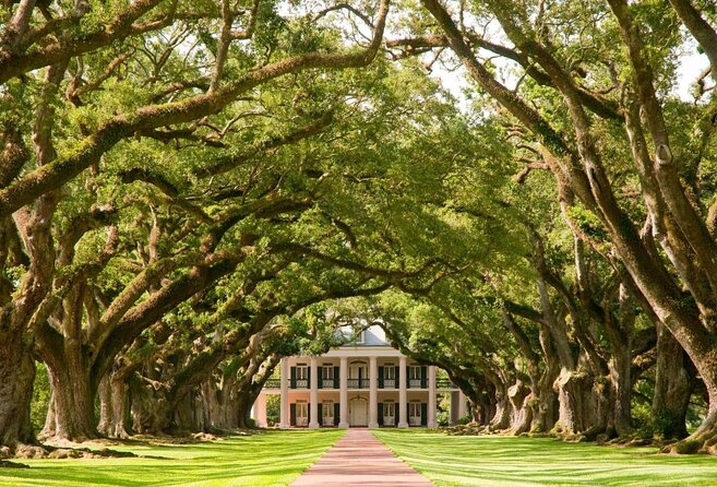 Private New Orleans Double Plantation Tour: Oak Alley and Laura - Key points to know before booking