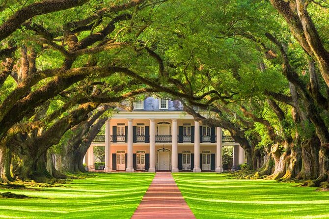 Small Airboat and Oak Alley Plantation Tour from New Orleans - Oak Alley’s 28 oaks make the first impression