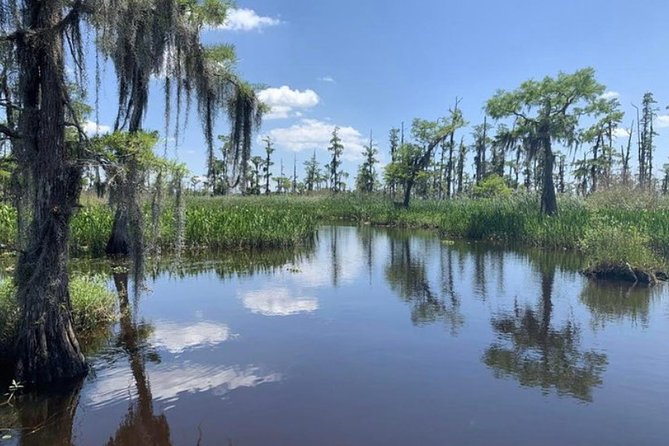 Small-Group Airboat Swamp Tour with Downtown New Orleans Pickup - Alligators at close range