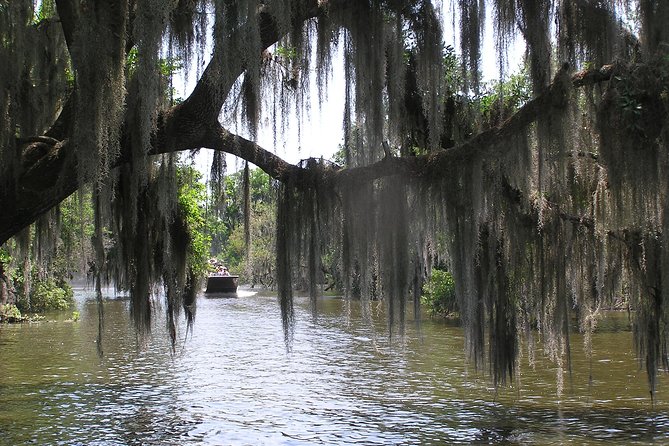 Small-Group Bayou Airboat Ride with Transport from New Orleans - How the small group changes the ride