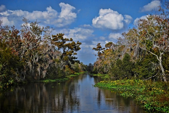 Small-Group Bayou Airboat Ride with Transport from New Orleans - Weather, clothing, and practical planning