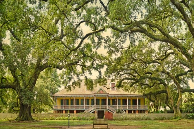 Small-Group Laura and Whitney Plantation Tour from New Orleans - Key points to know before booking