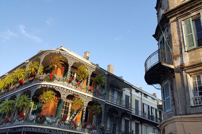 Small Group Local's Guide to the French Quarter Tour - Royal Street and the changing Quarter