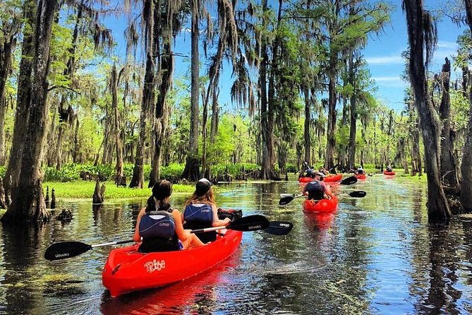 Small-Group Manchac Swamp Kayak Tour - Key points to know before you book