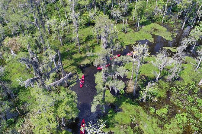 Small-Group Manchac Swamp Kayak Tour - The French Quarter pickup and the trip west