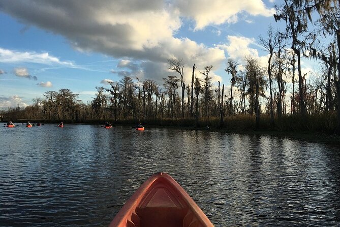 Small-Group Manchac Swamp Kayak Tour - Narrow channels and cypress-lined water