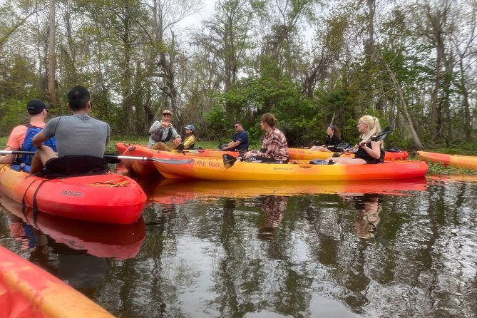 Small-Group Manchac Swamp Kayak Tour - Value, group size, and who should book