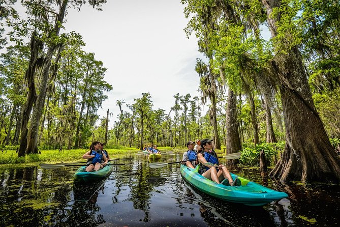 Small-Group Manchac Swamp Kayak Tour with Local Guide - Manchac Swamp Kayak Tour: Key Points