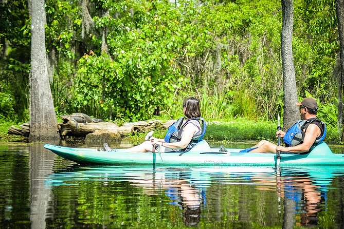 Small-Group Manchac Swamp Kayak Tour with Local Guide - Wildlife Watching Requires Patience