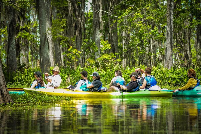 Small-Group Manchac Swamp Kayak Tour with Local Guide - Is the $93 Price Fair?