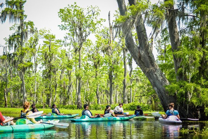 Small-Group Manchac Swamp Kayak Tour with Local Guide - Weather, Clothing, and Practical Comfort