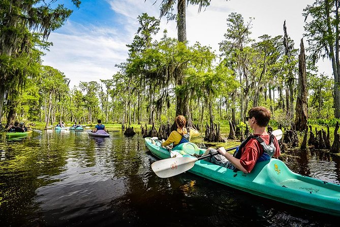 Small-Group Manchac Swamp Kayak Tour with Local Guide - Paddling the Slow Channels of Manchac