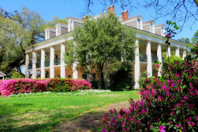 Swamp Boat Ride and Oak Alley Plantation Tour from New Orleans - One day, two very different Louisianas