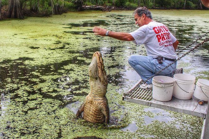 Swamp Boat Ride and Oak Alley Plantation Tour from New Orleans - Lake Pontchartrain and the spillway
