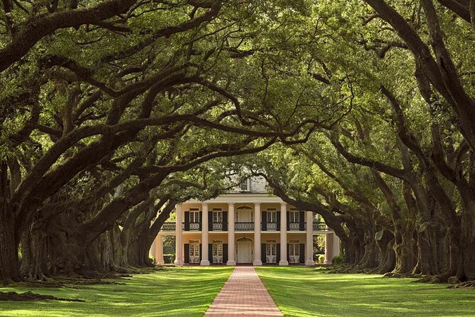 Swamp Boat Ride and Oak Alley Plantation Tour from New Orleans - Cajun Pride and the Manchac Swamp boat ride
