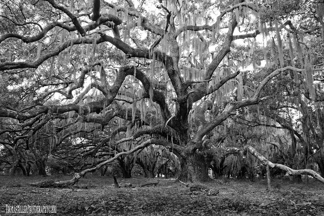 The Blackest Ghost Tour: Ages 17 and Above - Voodoo, vampires, and Boutique du Vampyre