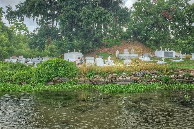 Ultimate Swamp Tour Experience with Transportation from New Orleans - Alligators, egrets, snakes, and the luck of the day
