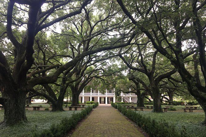 Whitney Plantation and Airboat Tour from New Orleans - The schedule needs realistic expectations
