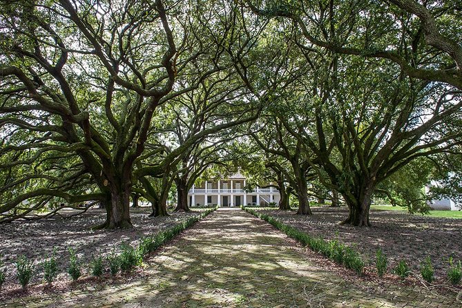 Whitney Plantation Tour with Transportation from New Orleans - Who will get the most from this visit